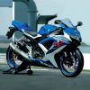 Suzuki Gsxr Motorcycle Paint By Numbers