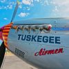 Tuskegee Airmen Paint By Numbers