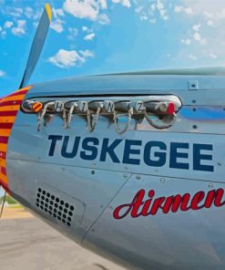 Tuskegee Airmen Paint By Numbers