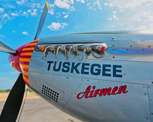 Tuskegee Airmen Paint By Numbers