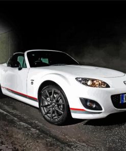 White Mazda Miata Car Paint By Numbers