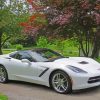 White Corvette Paint By Numbers