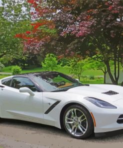 White Corvette Paint By Numbers