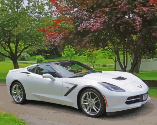 White Corvette Paint By Numbers