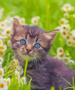 Aesthetic Cat And White Flowers Paint By Numbers