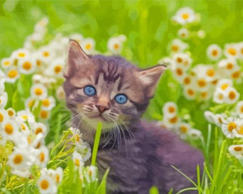 Aesthetic Cat And White Flowers Paint By Numbers