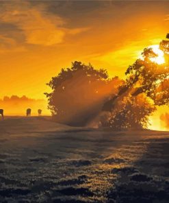 Amazing Misty Sunrise Paint By Numbers