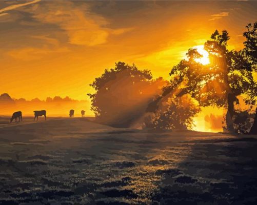 Amazing Misty Sunrise Paint By Numbers