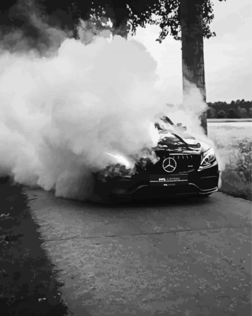 Black And White Smoke Car Paint By Numbers