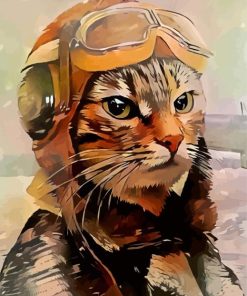 Cool Pilot Cat Paint By Numbers