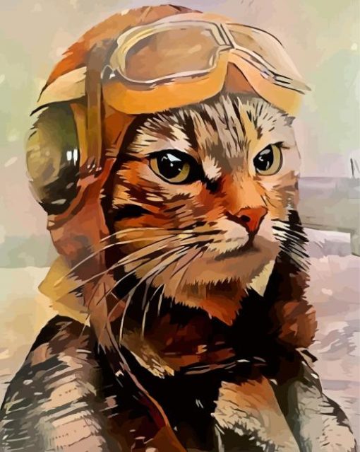 Cool Pilot Cat Paint By Numbers