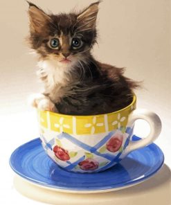 Cute Kitten In Cup Paint By Numbers