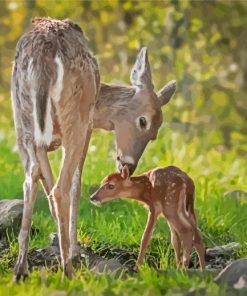 Doe And Fawn Paint By Numbers