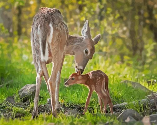 Doe And Fawn Paint By Numbers