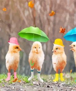 Funny Birds In Rain Paint By Numbers