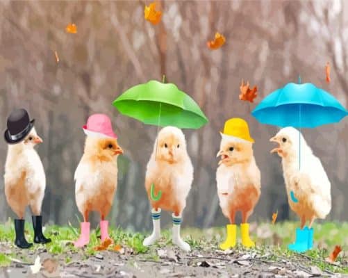 Funny Birds In Rain Paint By Numbers