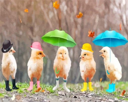 Funny Birds In Rain Paint By Numbers