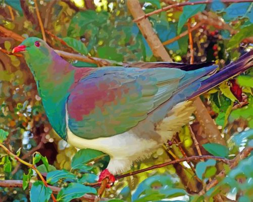 Kereru Pigeon Paint By Numbers