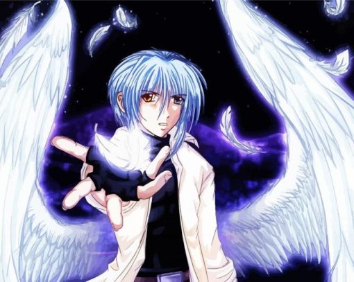 Male Angel Anime Paint By Numbers