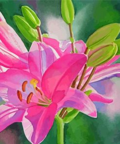 Pink Lilies Paint By Numbers