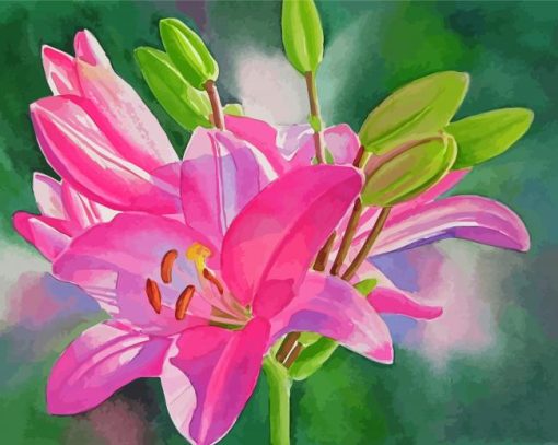 Pink Lilies Paint By Numbers