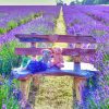 Teddy Bears In Lavender Field Paint By Numbers