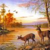 Two Deer By The River Paint By Numbers