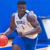 Zion Williamson Paint By Numbers