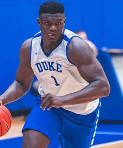 Zion Williamson Paint By Numbers