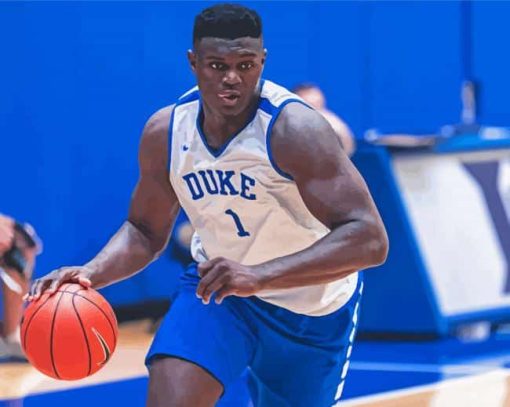 Zion Williamson Paint By Numbers