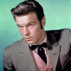 Actor Robert Wagner Paint By Numbers