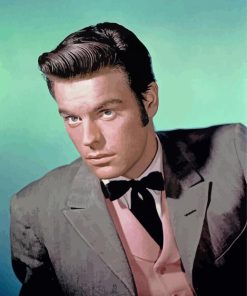 Actor Robert Wagner Paint By Numbers