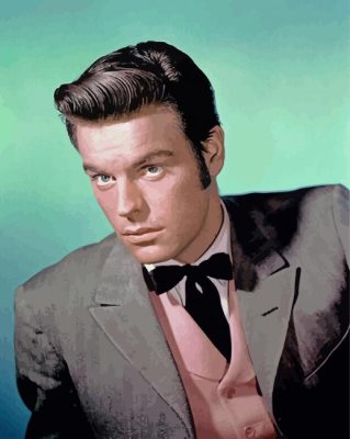 Actor Robert Wagner Paint By Numbers