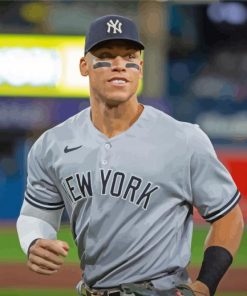 Aesthetic Aaron Judge Paint By Numbers