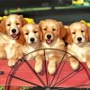 Aesthetic Puppies In Wagon Paint By Numbers