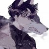 Anime Wolf Boy Paint By Numbers