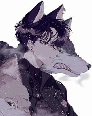 Anime Wolf Boy Paint By Numbers