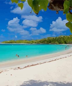 Beach In Saint Thomas Paint By Numbers