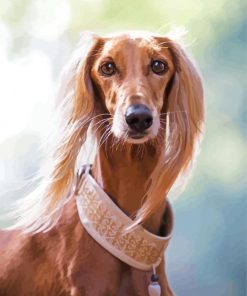 Beige Saluki Dog Paint By Numbers