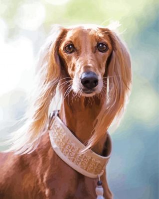 Beige Saluki Dog Paint By Numbers