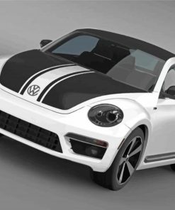 Black And White Beetle GSR Car Paint By Numbers