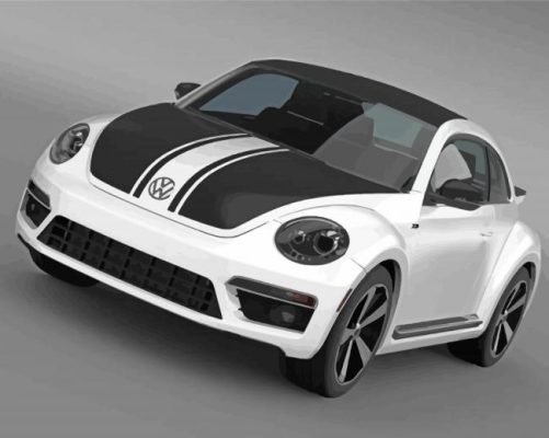 Black And White Beetle GSR Car Paint By Numbers