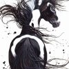 Black And White Pinto Horse Paint By Numbers