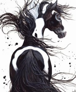 Black And White Pinto Horse Paint By Numbers