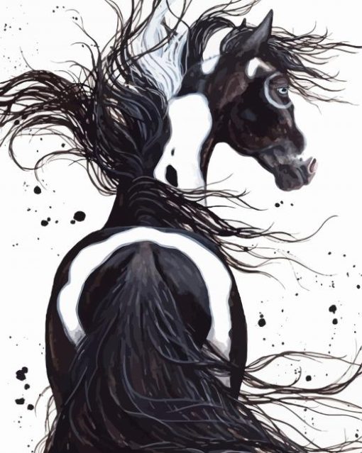 Black And White Pinto Horse Paint By Numbers