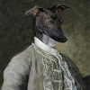 Black Greyhound Dog In Uniform Paint By Numbers