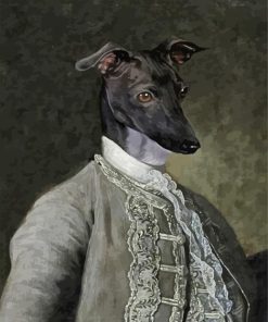 Black Greyhound Dog In Uniform Paint By Numbers