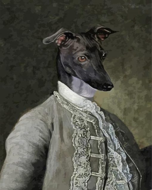 Black Greyhound Dog In Uniform Paint By Numbers