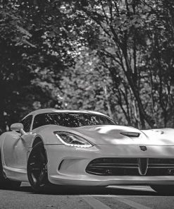 Black And White Dodge Viper Paint By Numbers