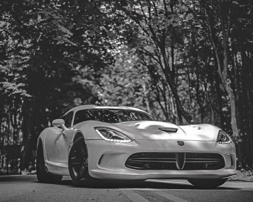 Black And White Dodge Viper Paint By Numbers